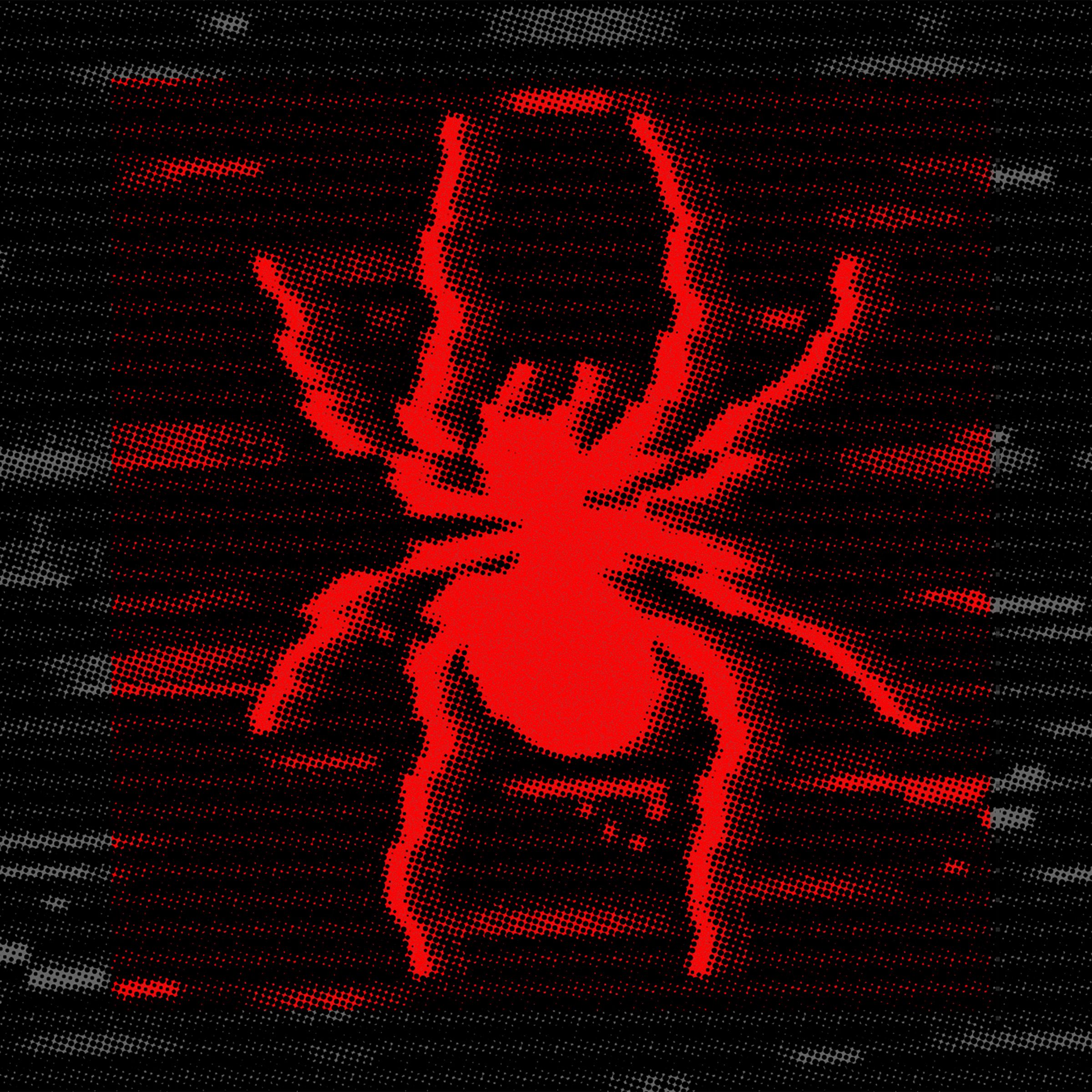 Image may contain Light Person Animal Invertebrate and Spider